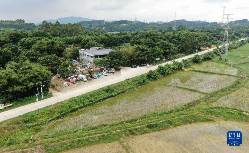 专业电子游艺